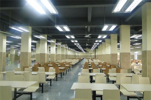 禪城專業(yè)工廠食堂承包 一站式信息咨詢服務，助力企業(yè)高效餐飲管理